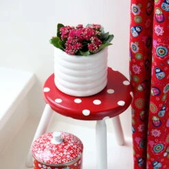 Kalanchoe 'Calandiva'®, Rot, Topf-Ø 12 Cm, Höhe Ca. 27,5 Cm, 6er-Set -Compo Verkaufsgeschäft 0210350161 Kalanchoe Cal rot