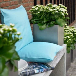 Kalanchoe 'Calandiva'®, Weiß, Topf-Ø 12 Cm, Höhe Ca. 27,5 Cm, 6er-Set 11 Kalanchoe 'Calandiva'®, Weiß, Topf-Ø 12 Cm, Höhe Ca. 27,5 Cm, 6er-Set -Compo Verkaufsgeschäft 0210350168 Kalanchoe Cal weiss2