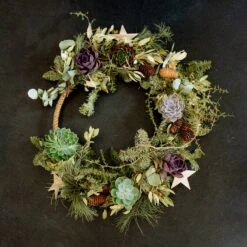 Schnittecheverien-Mix, Ø 8 Cm, 8er-Set -Compo Verkaufsgeschäft 0250103364 Echeveria Mix 7 10cm in DIY Box 5 117175