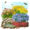 Insektenfreundliches Stauden Set, 18 Pflanzen Für 3 M², Bunt -Compo Verkaufsgeschäft 0319100525 Insektengarten Stauden Mix 1Set 18 Pflanzen fuer 3m 1 124108