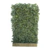 Hecke Am Laufenden Meter® Efeu, 120x180 Cm 14 Hecke Am Laufenden Meter® Efeu, 120x180 Cm -Compo Verkaufsgeschäft 0440100721 Hedera helix Woerneri 180cm hoch 120cm breit 34514