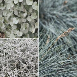 Mixtopf 'Silberstruktur', 3er-Set, Grau-silber, Topf 13 Cm Ø -Compo Verkaufsgeschäft 0610180261 0610180262 Mixtopf Mixschale Silberstruktur 95076