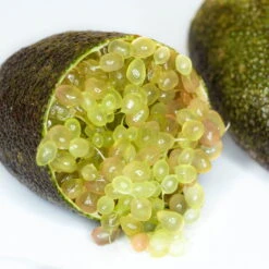 Fingerlimette, Topf-Ø 20 Cm, Höhe Ca.60 Cm -Compo Verkaufsgeschäft 0630100735 Citrus australasica Stamm T20 H60 70 WS 2 98315