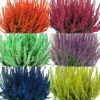 Knospenheide 'Picasso' Gefärbt, Farben Zufällig, Topf-Ø 12 Cm, 6er-Set -Compo Verkaufsgeschäft 0650100522 Calluna vulgaris gefaerbt T12 Mix 114844