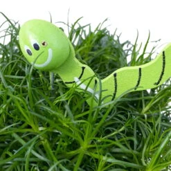 Sternmoos Mit Wurmstecker, Topf-Ø 6 Cm, 12er-Set -Compo Verkaufsgeschäft 0664300091 Sagina mit Wurm gruen T6 Mini 12er Set 5 a 116152