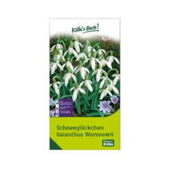 Schneeglöckchen, Galanthus Woronowii, 50 Blumenzwiebeln 3 Schneeglöckchen, Galanthus Woronowii, 50 Blumenzwiebeln -Compo Verkaufsgeschäft 0720500090 KB Schneegloeckchen Galanthus Woronowii weiss 114227