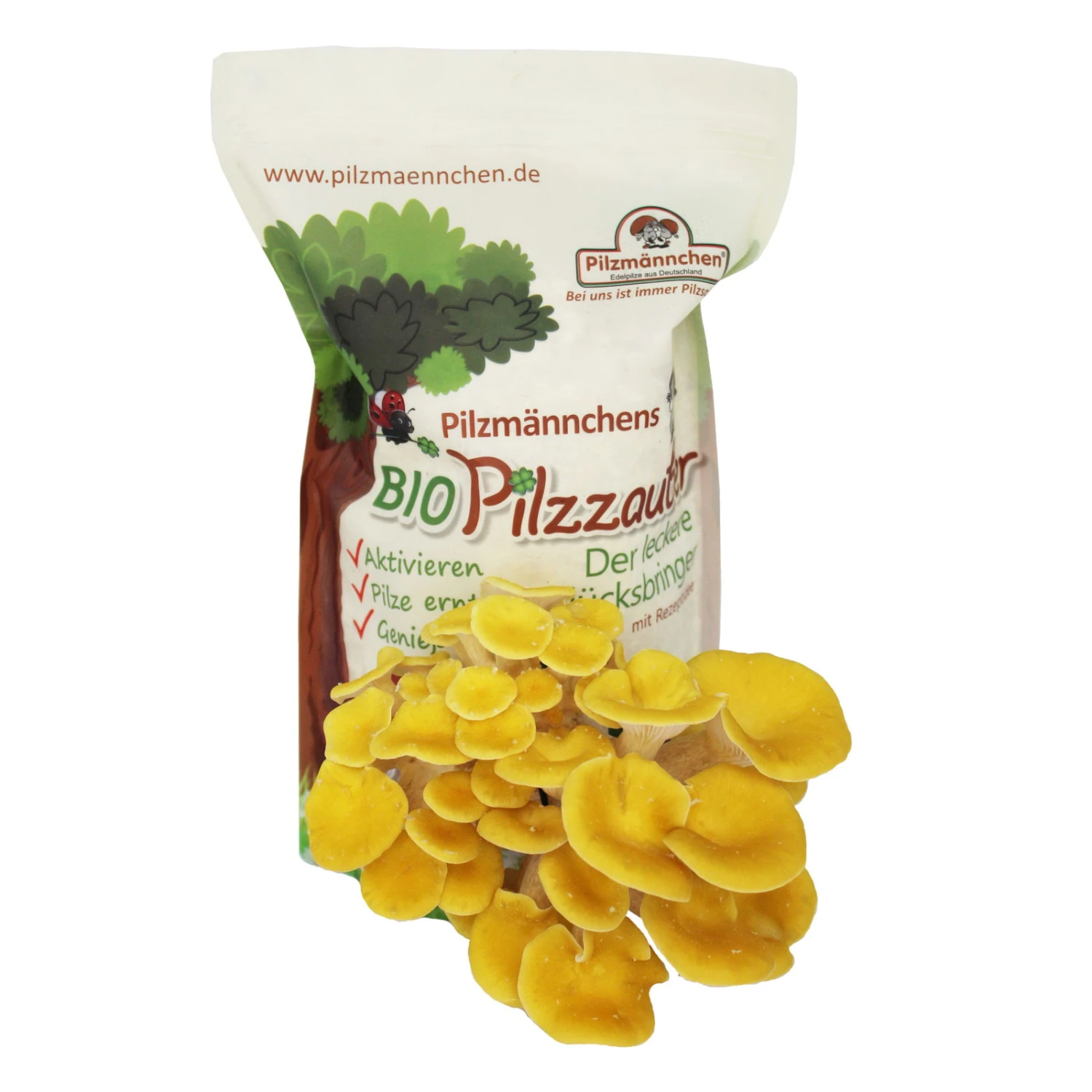 Pilzmännchen Bio Pilzzucht-Tüte Limonenpilz "Pilzzauber", 500 G 1 Pilzmännchen Bio Pilzzucht-Tüte Limonenpilz "Pilzzauber", 500 G