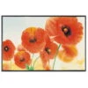 Kleen-Tex Fußmatte "Sunny Poppy", Ca. 50x75 Cm -Compo Verkaufsgeschäft 0910750743 Fussmatte Sunny Poppy 50x75cm 50108