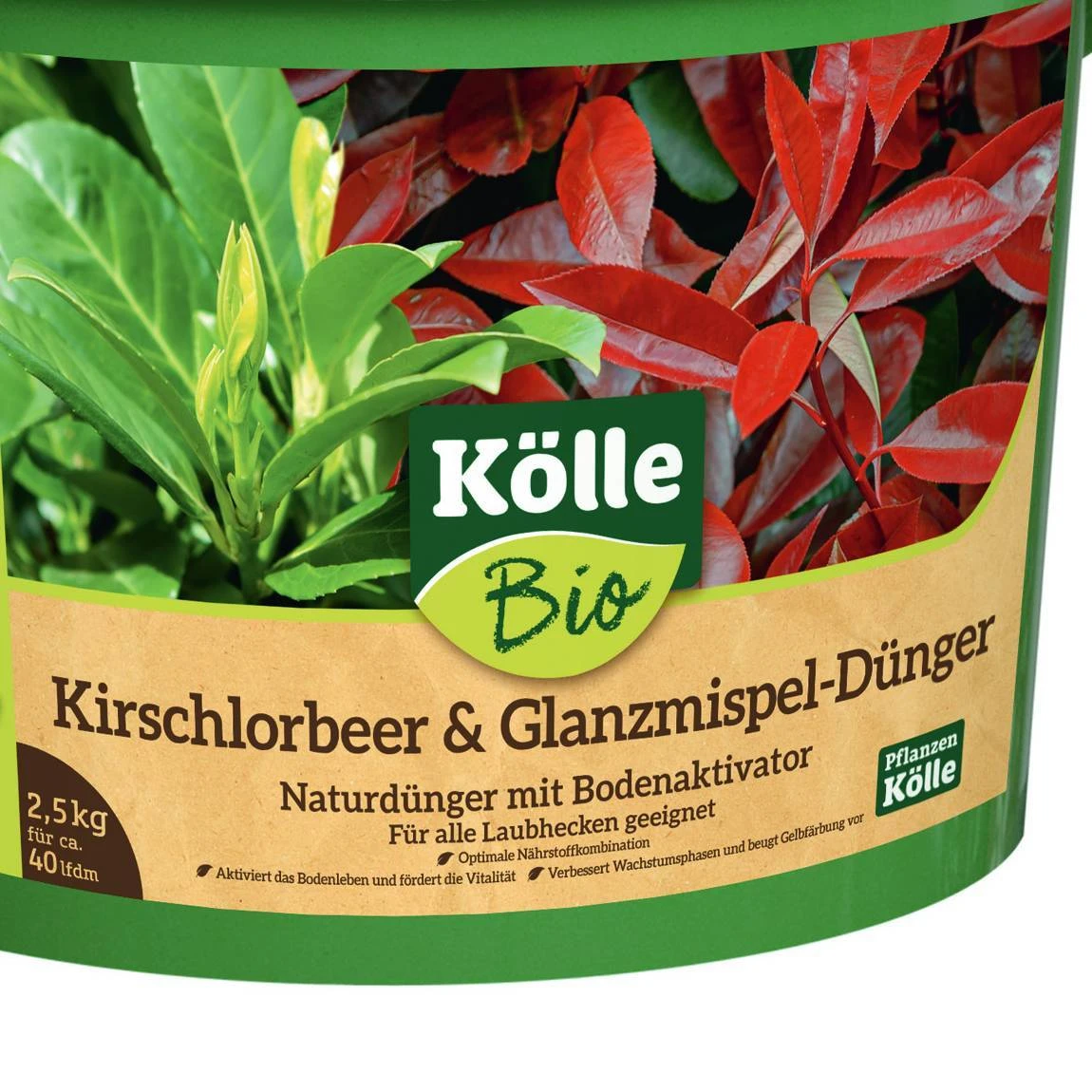Bio Kirschlorbeer & Glanzmispel-Dünger, 2,5 Kg 2 Bio Kirschlorbeer & Glanzmispel-Dünger, 2,5 Kg - Image 2