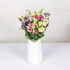 Gemischter Blumenbund 'Lisianthus' Inkl. Gratis Grußkarte -Compo Verkaufsgeschäft 1015700001 Lisianthus Mix 10er Bund weiss blau rosa WS 2 94400
