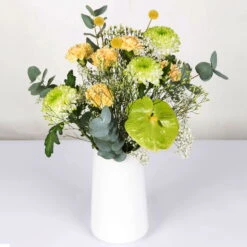 Gemischter Blumenbund 'Grüne Schönheit' Inkl. Gratis Grußkarte -Compo Verkaufsgeschäft 1025700013 DIY Mixbund Gruene Schoenheit Nelke Zembla Crasp Euka Gypso Stat Anth 1 94427