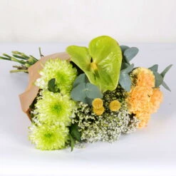 Gemischter Blumenbund 'Grüne Schönheit' Inkl. Gratis Grußkarte -Compo Verkaufsgeschäft 1025700013 DIY Mixbund Gruene Schoenheit Nelke Zembla Crasp Euka Gypso Stat Anth 2 94426