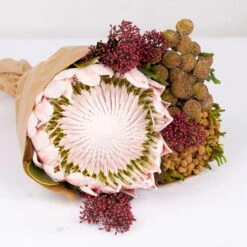 Blumenbund Protea King Mit Skimmie Und Kapgrün, Inkl. Gratis Grußkarte -Compo Verkaufsgeschäft 1025700017 Strauss Protea King mit Skimmia 2 1 101678