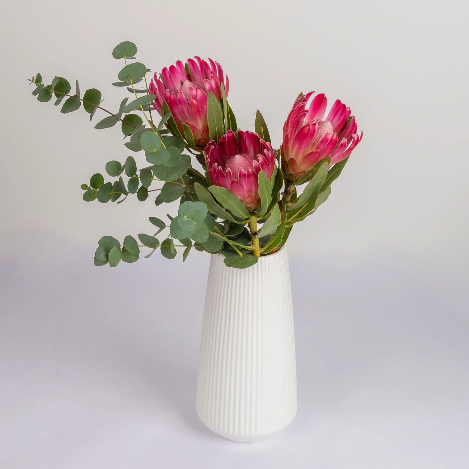 Blumenbund Protea 'Silvia' & Eukalyptus, Inkl. Gratis Grußkarte 3 Blumenbund Protea 'Silvia' & Eukalyptus, Inkl. Gratis Grußkarte – Bild 3