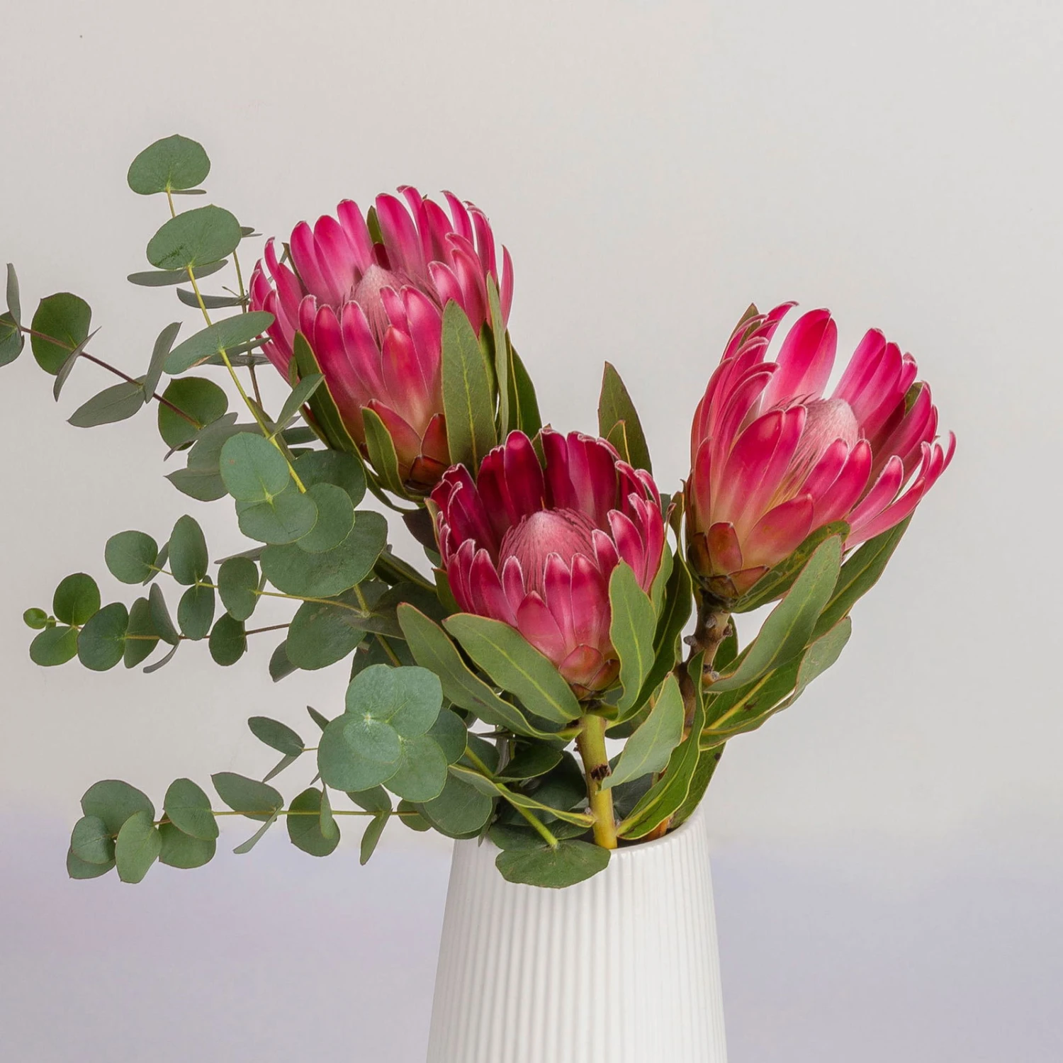 Blumenbund Protea 'Silvia' & Eukalyptus, Inkl. Gratis Grußkarte 1 Blumenbund Protea 'Silvia' & Eukalyptus, Inkl. Gratis Grußkarte