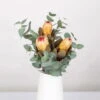 Blumenbund Protea & Eukalyptus, Inkl. Gratis Grußkarte -Compo Verkaufsgeschäft 1025700019 Strauss Protea Grandiflora 1 1 101680