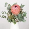 Blumenbund Protea Barbigera Mit Eukalyptus Und Brunia, Inkl. Gratis Grußkarte 11 Blumenbund Protea Barbigera Mit Eukalyptus Und Brunia, Inkl. Gratis Grußkarte -Compo Verkaufsgeschäft 1025700025 Strauss Protea Barbi Brun 1 101700