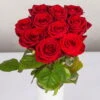 Blumenbund Mit Rosen 'Red Naomi', 10er-Bund, Rot, Inkl. Gratis Grußkarte -Compo Verkaufsgeschäft 1045500002 Rose Red Naomi 10er Bund 60cm 2 1 d 100187
