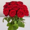 Blumenbund Mit Rosen 'Red Naomi', 15er-Bund, Rot, Inkl. Gratis Grußkarte 16 Blumenbund Mit Rosen 'Red Naomi', 15er-Bund, Rot, Inkl. Gratis Grußkarte -Compo Verkaufsgeschäft 1045500003 Rose Red Naomi 15er Bund 60cm 2 1 d 100188