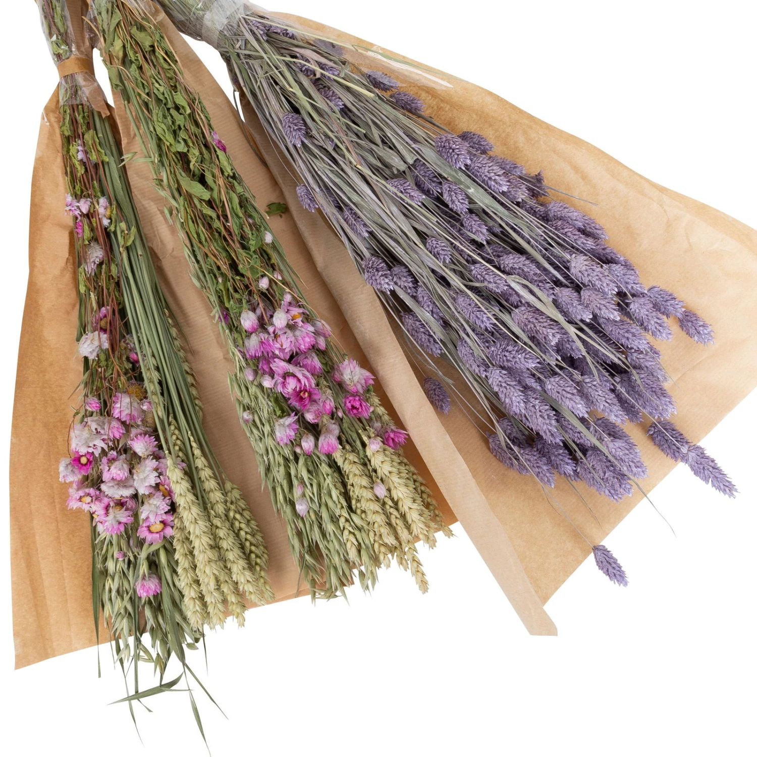 Rosa Trockenstrauß & Lila Glanzgras, 3er-Set, Länge Ca. 55 - 70 Cm 2 Rosa Trockenstrauß & Lila Glanzgras, 3er-Set, Länge Ca. 55 - 70 Cm - Image 2
