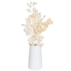 Silbertaler, Getrocknet, Lunaria, Ca. 80 Cm Lang -Compo Verkaufsgeschäft 1055300008 Lunaria weiss mit Tuete 1 83201