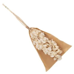 Silbertaler, Getrocknet, Lunaria, Ca. 80 Cm Lang -Compo Verkaufsgeschäft 1055300008 Lunaria weiss mit Tuete 83200