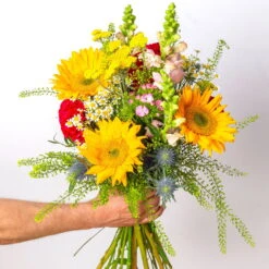 Blumenstrauß 'Cannes' Inkl. Gratis Grußkarte -Compo Verkaufsgeschäft 1110600118 Strauss Cannes 1 125166