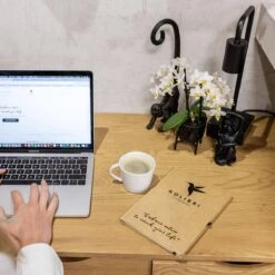 Geschenkset Orchidee & Sukkulente, Schwarz, Inkl. Übertöpfen Und Dekotablett -Compo Verkaufsgeschäft 1530150104 Kolibri Set schwarz klein 1 116982