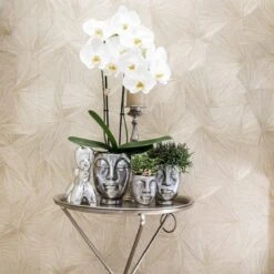 Geschenkset Orchidee & Sukkulente, Silber, Inkl. Übertöpfen Und Dekotablett