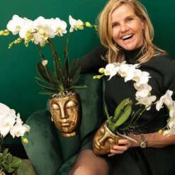 Geschenkset Orchidee & Sukkulente, Gold, Inkl. Übertöpfen Und Dekotablett 11 Geschenkset Orchidee & Sukkulente, Gold, Inkl. Übertöpfen Und Dekotablett -Compo Verkaufsgeschäft 1530150107 Kolibri Set Kopf gold klein 2 116993