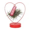 Tillandsia In Herzförmigem Metallgestell, Rot, Höhe Ca. 23 Cm 14 Tillandsia In Herzförmigem Metallgestell, Rot, Höhe Ca. 23 Cm -Compo Verkaufsgeschäft 1530150122 Tillandise in Herzstaender rot 118144