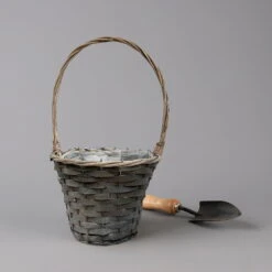 Chrysantheme Bronze Im Henkelkorb, Topf-Ø 19 Cm -Compo Verkaufsgeschäft 1530200290 291 292 293 294 Chrysanthemum im Henkelkorb 19 21 1 126587