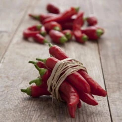 Blu Bio Chilipflanze Zwerg-Chili, Topf-Ø 12 Cm, 3er Set 17 Blu Bio Chilipflanze Zwerg-Chili, Topf-Ø 12 Cm, 3er Set -Compo Verkaufsgeschäft 1620330132 Blu Bio Zwerg Chili mit Fruechte T12 3er Set extra scharf 12 124310