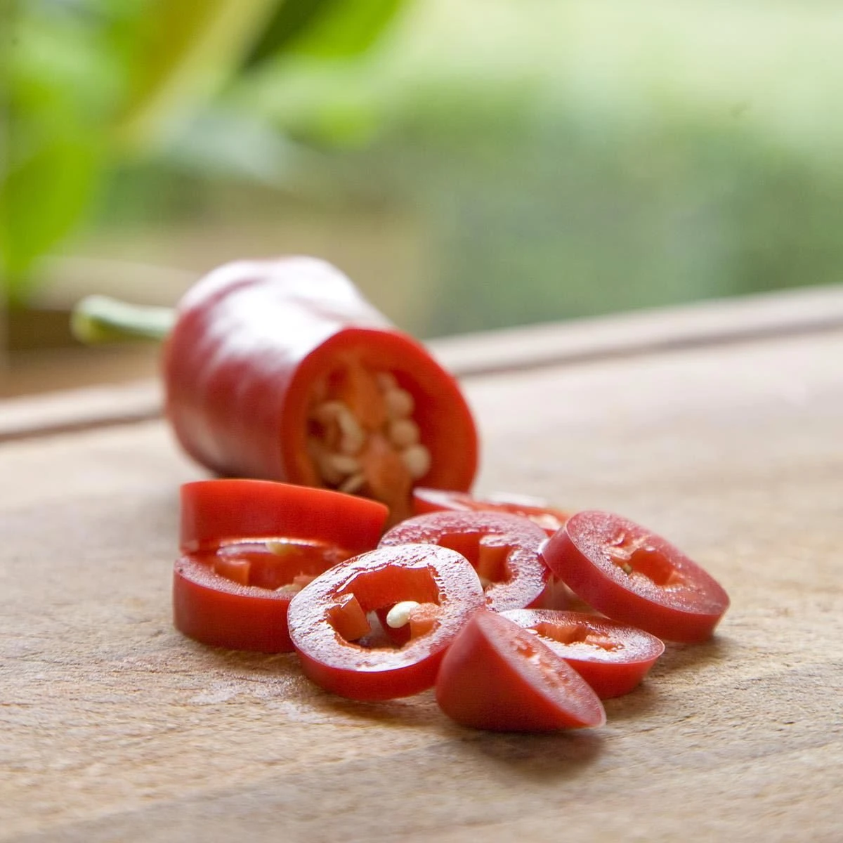 Blu Bio Chilipflanze Zwerg-Chili, Topf-Ø 12 Cm, 3er Set 3 Blu Bio Chilipflanze Zwerg-Chili, Topf-Ø 12 Cm, 3er Set - Image 3