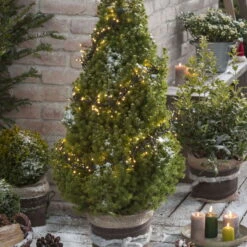 Kölle LED Lichterkette, Gruppenbeleuchtung Mit 288 Lichtern, Schwarz, 2,4 M, Warmweiß -Compo Verkaufsgeschäft 2040303593 3909 3911 4346 4347 4348 4350 4351 4351 4352 4354 4355 4356 4358 4359 LED Gruppenbeleuchtung warm 58204