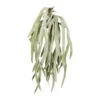 Kunstpflanze Geweihfarnhänger, Grüngrau, 7 Stränge, Höhe Ca. 80 Cm -Compo Verkaufsgeschäft 2210107872 Geweihfarnheanger 103062