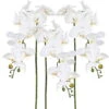 Kunstblume Orchideenzweig, Creme, Ca. 98 Cm, 3 Stück