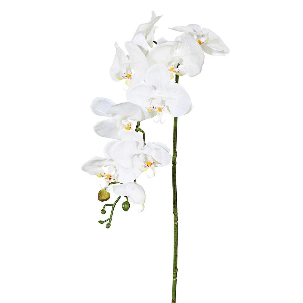 Kunstblume Orchideenzweig, Creme, Ca. 98 Cm, 3 Stück 2 Kunstblume Orchideenzweig, Creme, Ca. 98 Cm, 3 Stück - Image 2