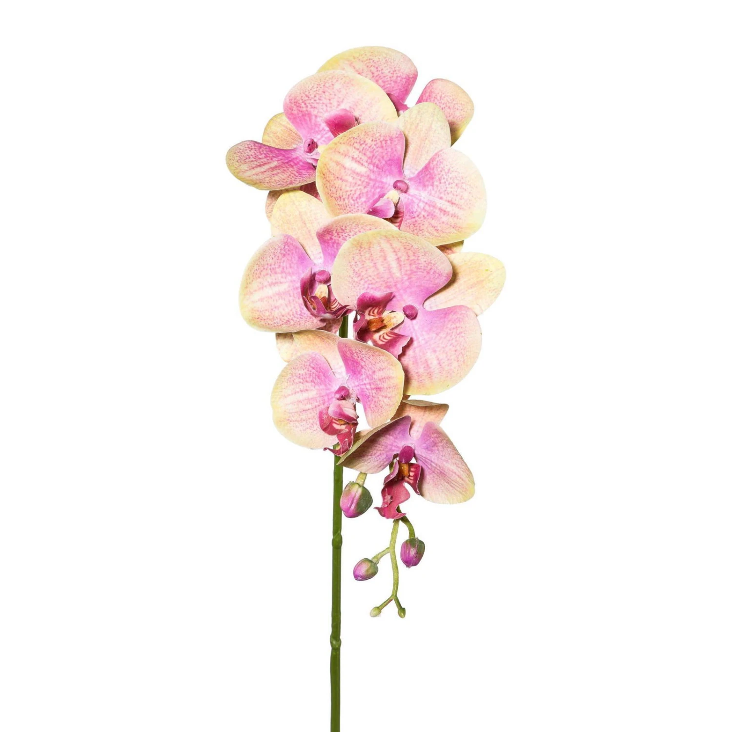 Kunstpflanze Orchideenzweig, Grünrosa, Ca. 87 Cm, 2 Stück 2 Kunstpflanze Orchideenzweig, Grünrosa, Ca. 87 Cm, 2 Stück - Image 2