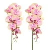 Kunstpflanze Orchideenzweig, Grünrosa, Ca. 87 Cm, 2 Stück -Compo Verkaufsgeschäft 2210500112 Phalenopsisx7 3D print 87cm gruenrosa 1 122681