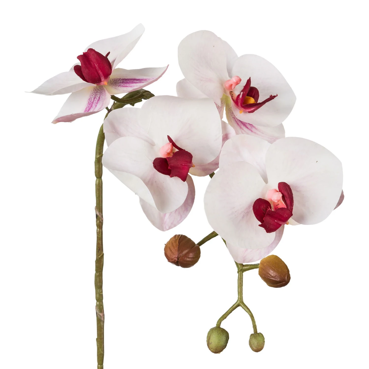 Kunstpflanze Phalaenopsis 'Real Touch', 4 Blüten, Rosa, Höhe Ca. 42 Cm 1 Kunstpflanze Phalaenopsis 'Real Touch', 4 Blüten, Rosa, Höhe Ca. 42 Cm