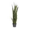 Kunstpflanze Sansevieria Grün, Im Kunststofftopf, Ca. 100 Cm