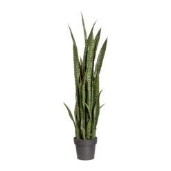 Kunstpflanze Sansevieria Grün, Im Kunststofftopf, Ca. 100 Cm