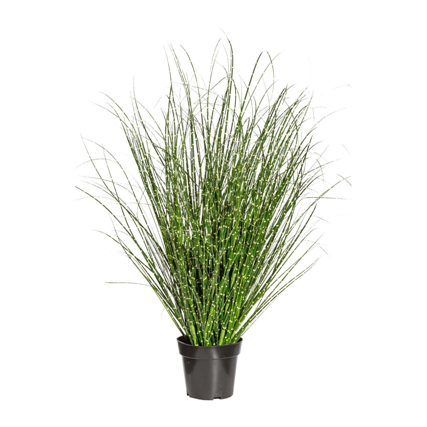 Kunstpflanze Miscanthus Zebrinus, Ca. 110 Cm, Im Einfachen Kunststofftopf 1 Kunstpflanze Miscanthus Zebrinus, Ca. 110 Cm, Im Einfachen Kunststofftopf