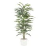 Areca Palme, Grün, Ca. 120 Cm, Weißer Keramiktopf 19 Cm 4 Areca Palme, Grün, Ca. 120 Cm, Weißer Keramiktopf 19 Cm -Compo Verkaufsgeschäft 2220101979 Areca Palme x3gruen ca 120cm 28Blaetter im ws Keramiktopf 19cm 61696