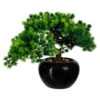 Künstliche Bonsai-Lärche, 3 Zweige, Grün, Ca. 26 Cm, Schwarzer Keramiktopf 15 X 9 Cm -Compo Verkaufsgeschäft 2220102109 Bonsai Laerche x3 im Keramiktopf schwarz 75926