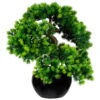 Künstliche Bonsai-Lärche, 5 Zweige, Grün, Ca. 37 Cm, Schwarzer Keramiktopf 15 X 9 Cm -Compo Verkaufsgeschäft 2220102110 Bonsai Laerche x5 im Keramiktopf schwarz 75927