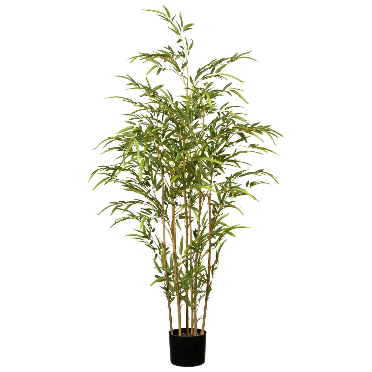 Bambus, 7 Naturstämme, Ca. 1.100 Kunststoffblätter, Höhe Ca. 130 Cm 1 Bambus, 7 Naturstämme, Ca. 1.100 Kunststoffblätter, Höhe Ca. 130 Cm