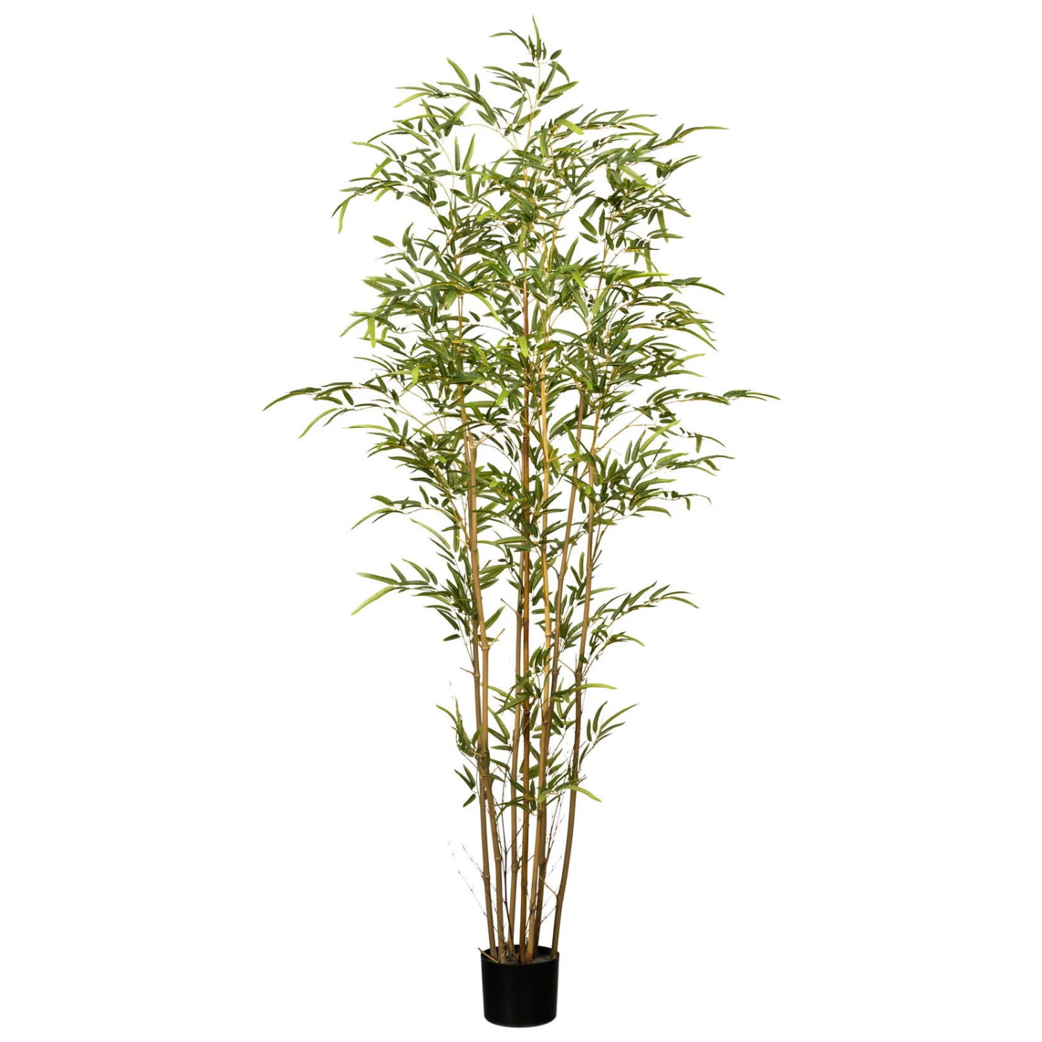 Bambus, 7 Naturstämme, Ca. 1.377 Kunststoffblätter, Höhe Ca. 180 Cm 1 Bambus, 7 Naturstämme, Ca. 1.377 Kunststoffblätter, Höhe Ca. 180 Cm