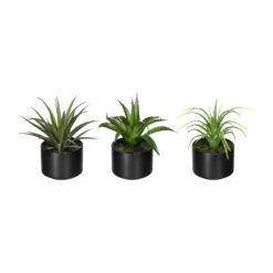 Kunstpflanzen 3er-Set Aloe Vera, Agave & Tillandsie, Topf-Ø 7,5 Cm, Höhe Ca.15cm